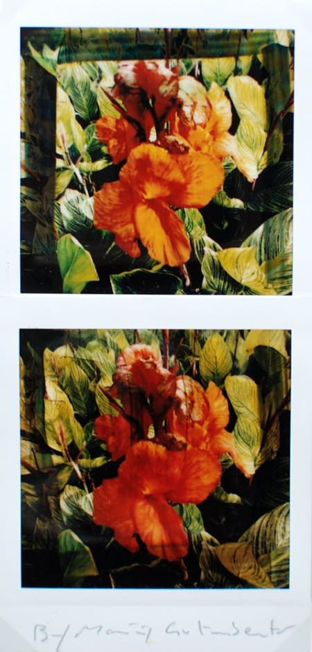 Maurizio Galimberti — Bi flowers